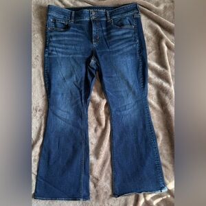 Women’s American Eagle Outfitters Artist Flare Jeans 20 Short